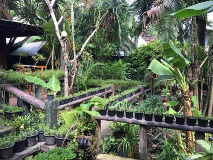 Garden Home Bungalow Ko Phi Phi Exterior foto